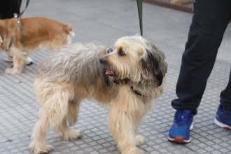 WhatsApp Image 2025-09-25 at 11.05.49 (1).jpeg